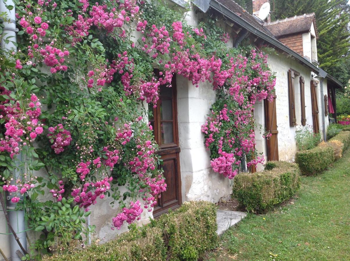 Gite O Beauval Saint-Aignan  Eksteriør bilde