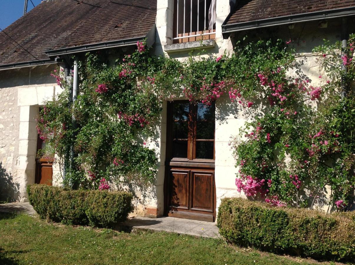 Gite O Beauval Saint-Aignan  Eksteriør bilde