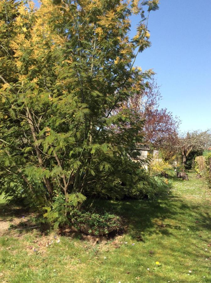 Gite O Beauval Saint-Aignan  Eksteriør bilde