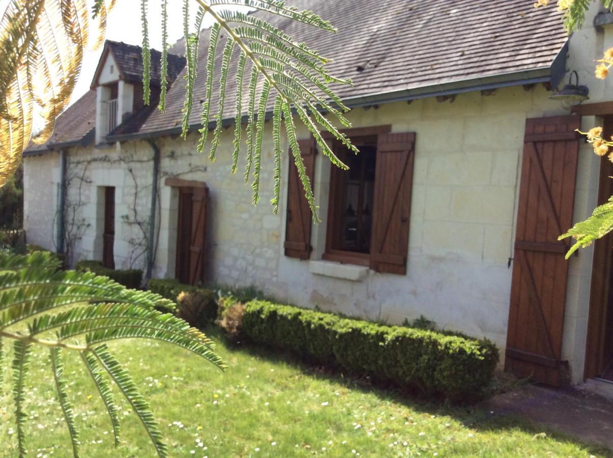 Gite O Beauval Saint-Aignan  Eksteriør bilde